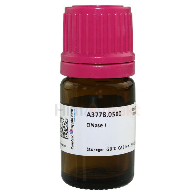 Дезоксирибонуклеаза I(DNase I)