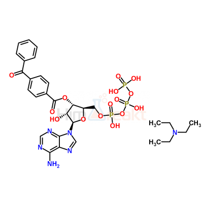 2'(3')-O-(4-бензоилбензоил)аденозин 5'-трифосфат триэтиламмоний соль