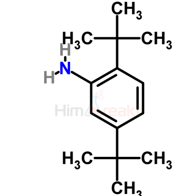 2,5-Ди-трет-бутиланилин