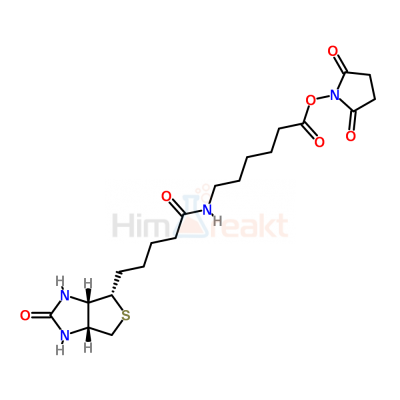 Биотинамидогексановая кислота n-гидроксисукцинимид эфир