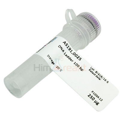 ДНК Ladder 100 bp