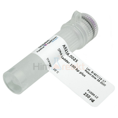 ДНК Ladder 100 bp plus