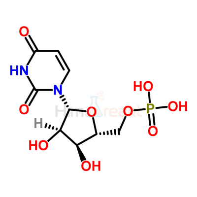 Уридин 5'-монофосфат